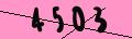 captcha-img